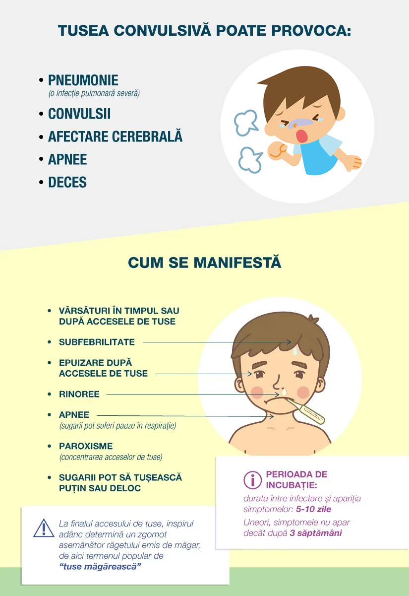 infografic tuse convulsiva, este o boala respiratorie foarte contagioasa