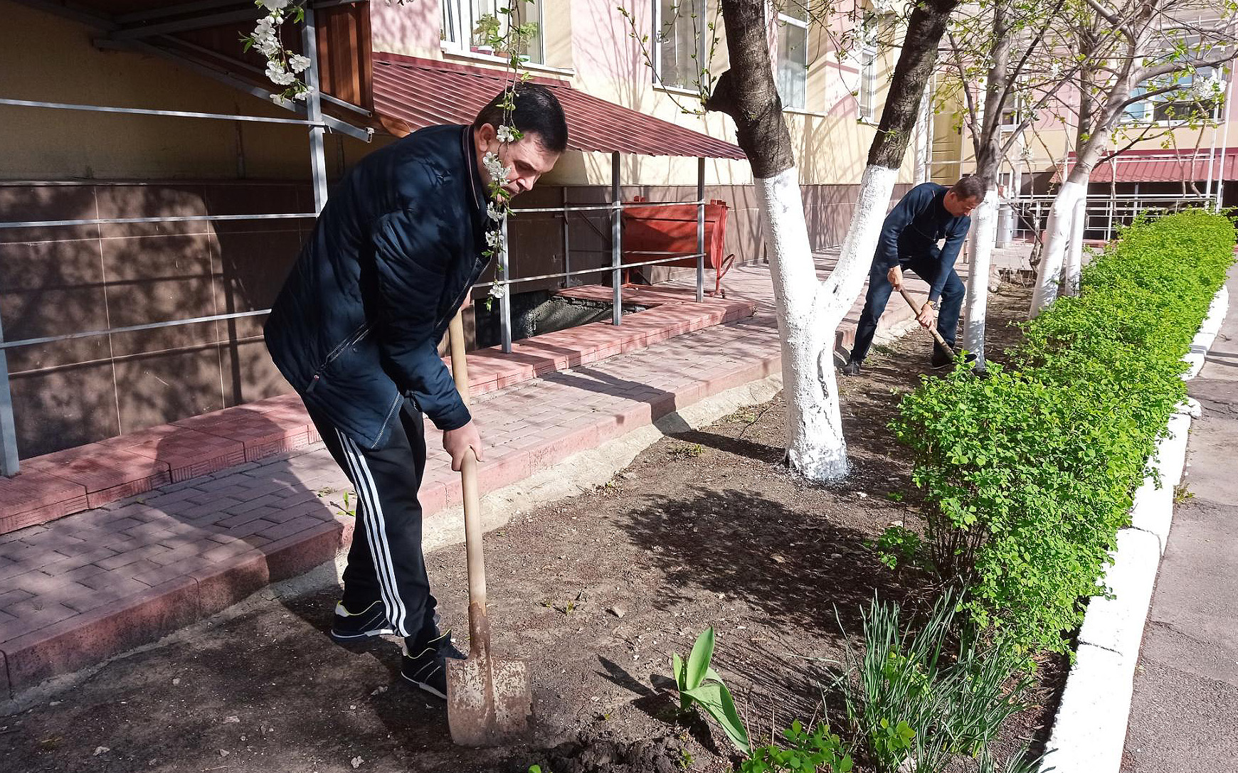 colaboratorii IMSP Asociația Medicală Teritorială Ciocana au participat activ la salubrizarea terenului din preajma instituţiilor subordonate în cadrul Campaniei 