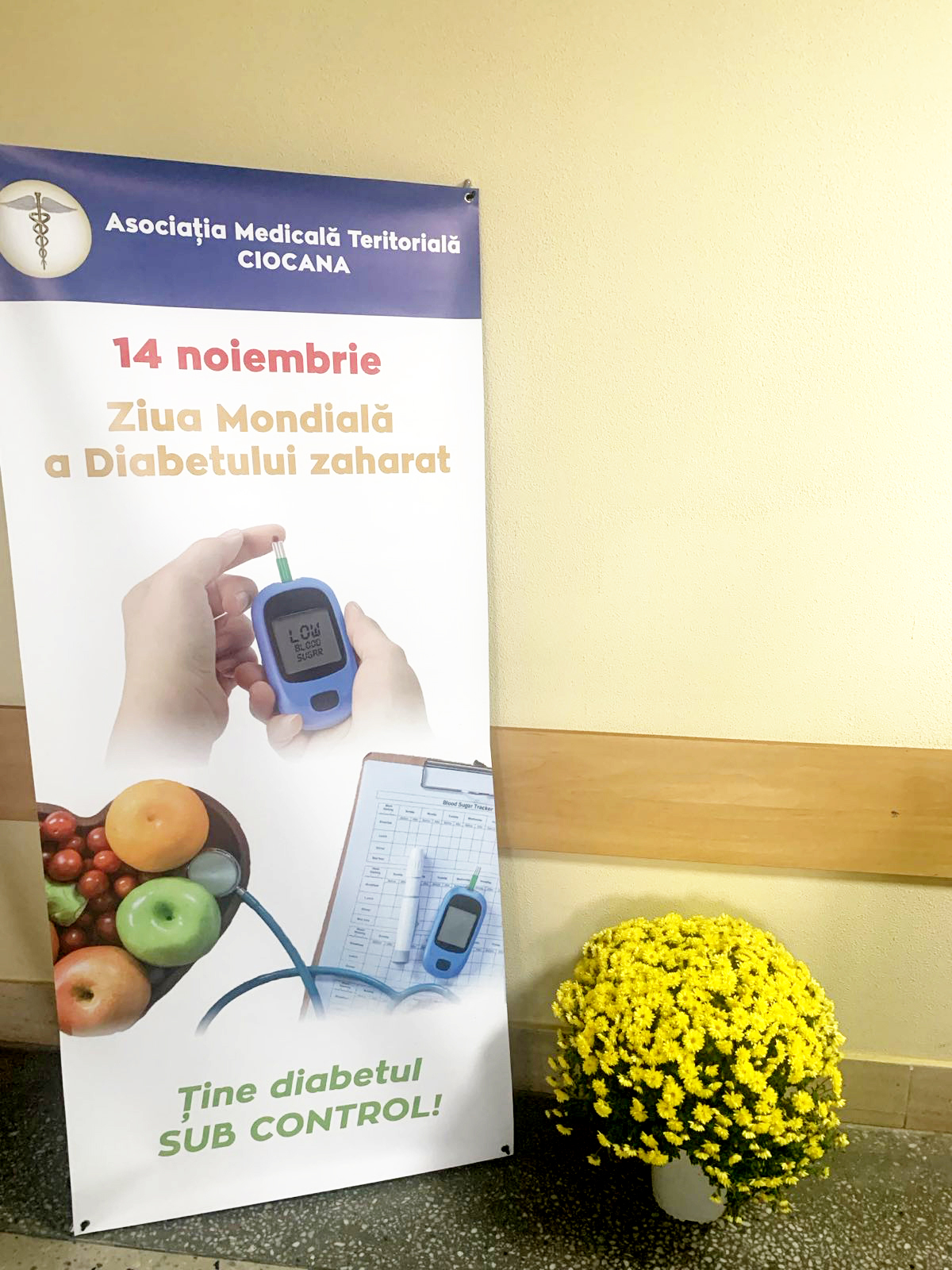 Ziua Mondială a Diabetului 2024 în cadrul IMSP AMT Ciocana