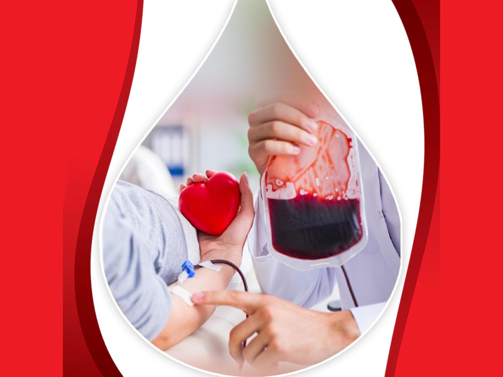 Ziua de donare voluntară a sângelui; blood donor;