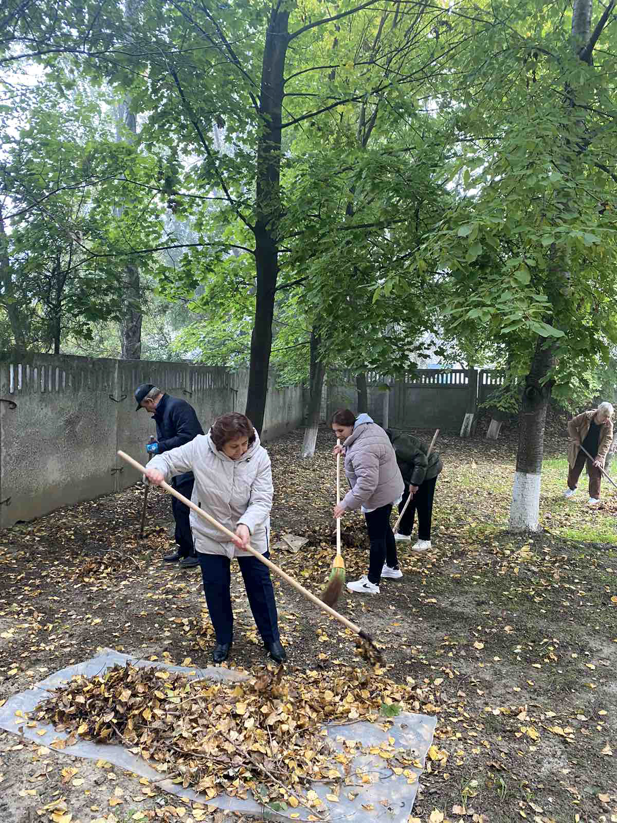 Campania de salubrizare Curățenia generală de toamnă