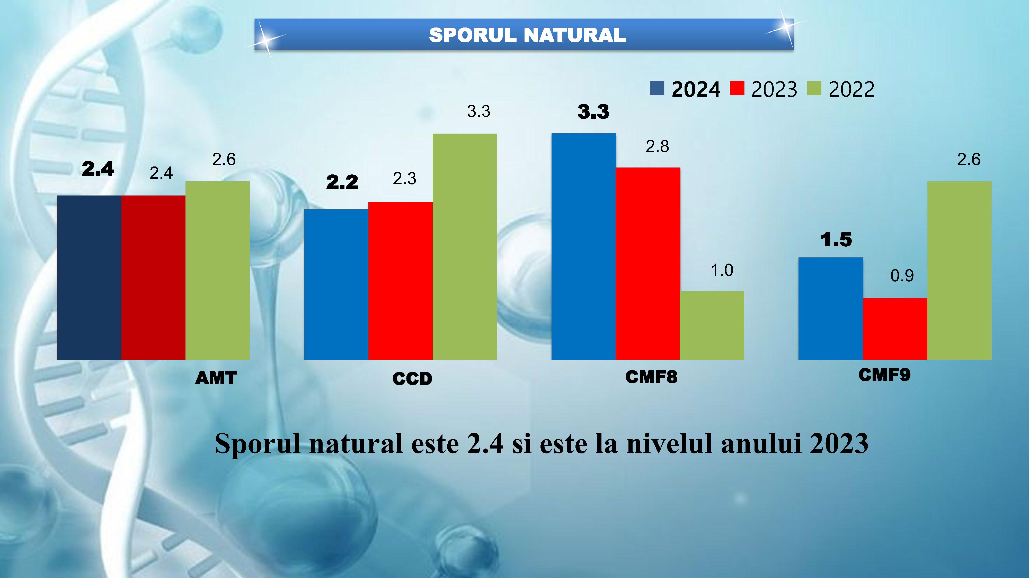 raportul de activitate AMT Cicoana 2024