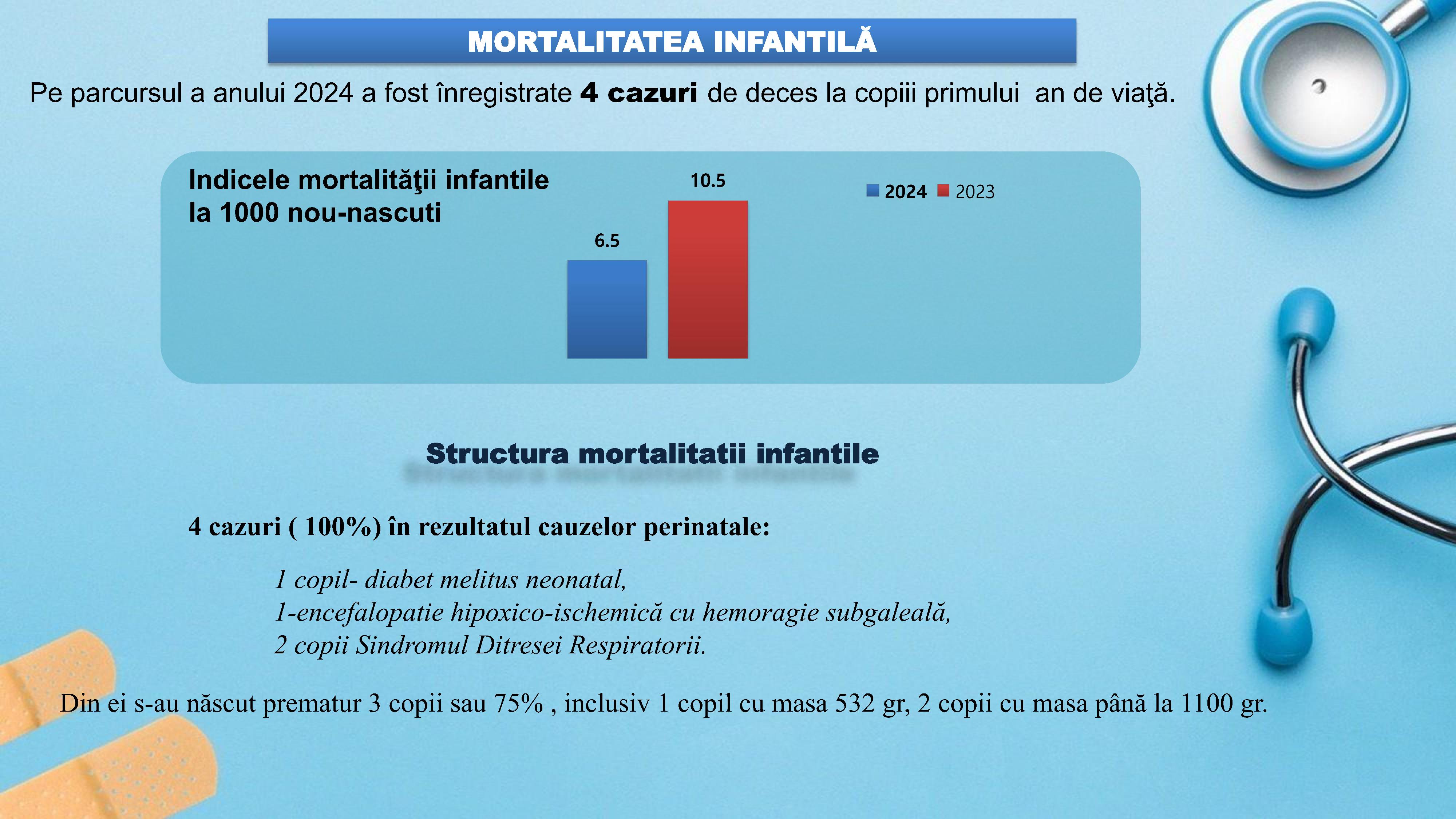 raportul de activitate AMT Cicoana 2024